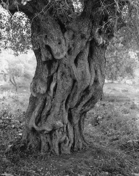 Adam Broomberg, Rafael Gonzalez, & Barbara Debeucklaere: ‘Anchor in the Landscape’ [Talk]