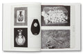 a Handful of Dust (Second Edition) <br> David Campany - MACK