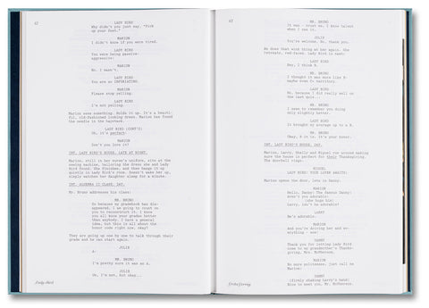 Lady Bird Screenplay Book