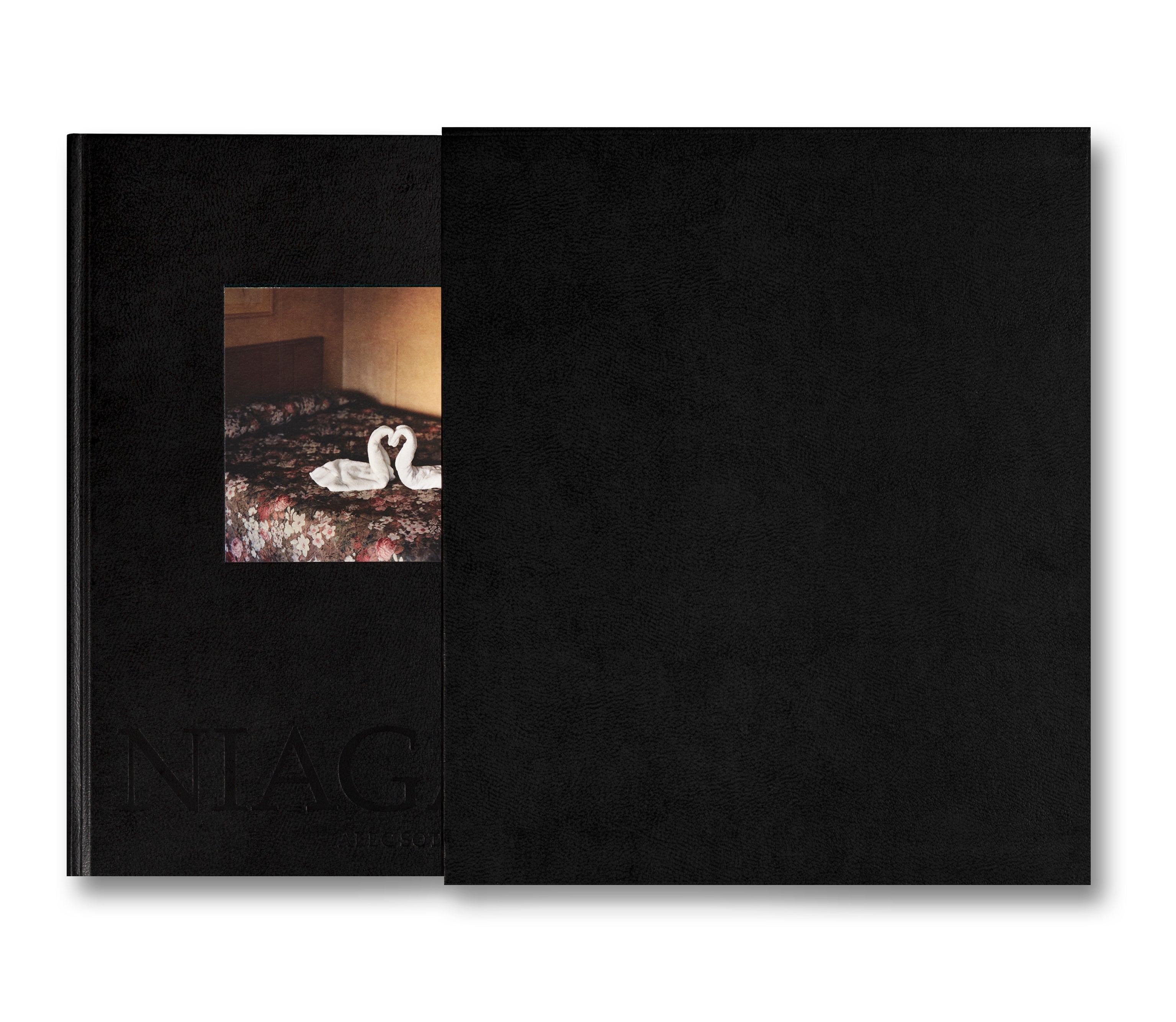 Niagara (First MACK Edition) - Alec Soth