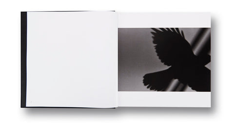 Ravens  Masahisa Fukase - MACK