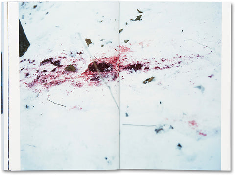 Trails  Takashi Homma - MACK