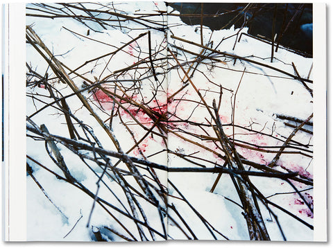 Trails  Takashi Homma - MACK