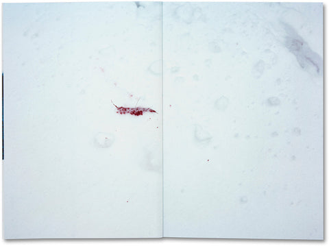 Trails  Takashi Homma - MACK