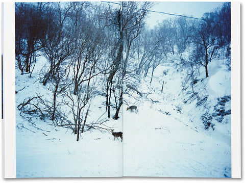 Trails  Takashi Homma - MACK